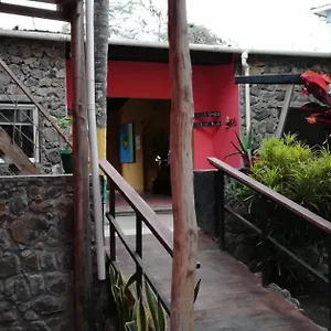  Ostello Galapagos Morning Glory
